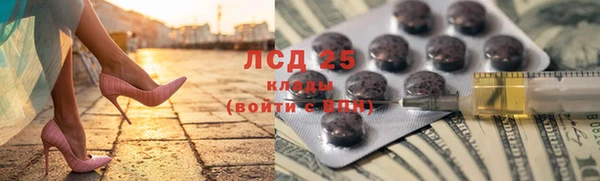 стаф Алексин