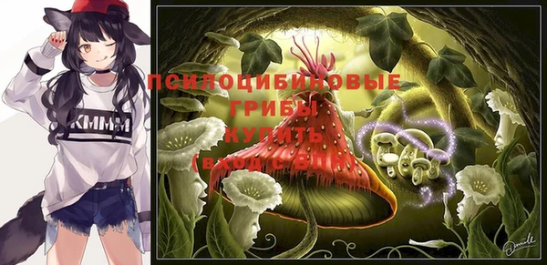гидропоника Алексеевка
