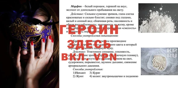 стаф Алексин