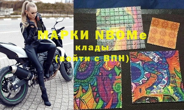 стаф Алексин