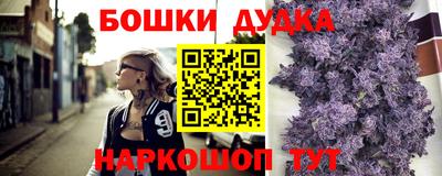 СК Дубна