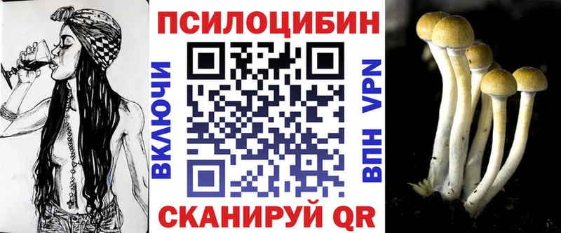 Псилоцибиновые грибы MAGIC MUSHROOMS  Курчалой 